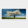 Wallity Lienzo Decorativo Multicolor 50 x 120 cm